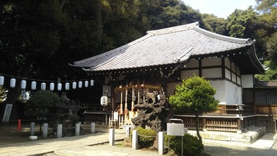 shirononagori269 (4).JPG