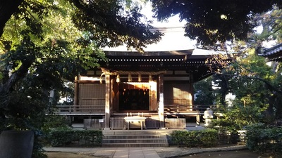 shirononagori286 (6).JPG