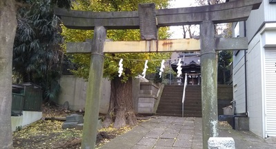 shirononagori292 (3).JPG