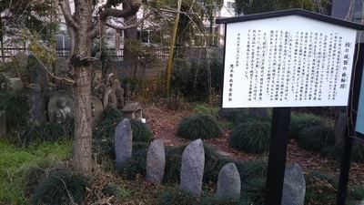 shirononagori309 (15).JPG