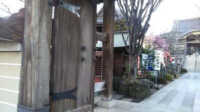 shirononagori311 (6).JPG