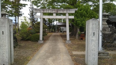 shirononagori349 (8).JPG