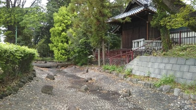 shirononagori352 (13).JPG