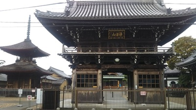 shirononagori410 (4).JPG