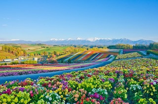 hokkaido-summer-resort-coldspot-travel_01.jpg