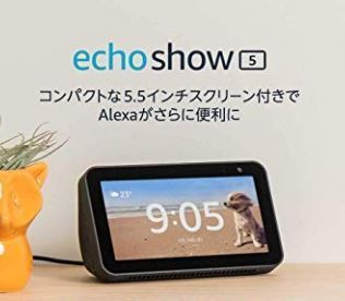 echo show.JPG