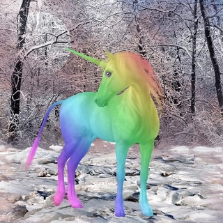 unicorn-1981218_640.jpg