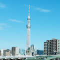 skytree.png