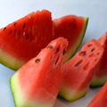 watermelon.png