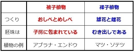 理科 頑張ってるね 中１ 種子植物のポイントまとめ