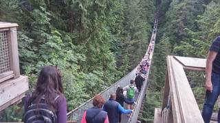 capilano 1.jpg