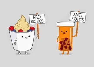 probiotics-vs-antibiotics.jpg