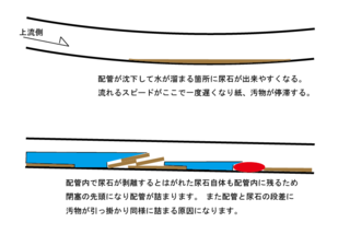 尿石発生の仕組み.PNG