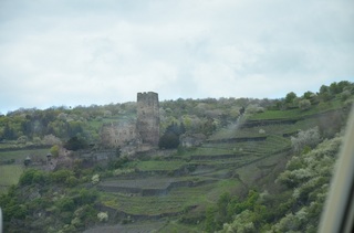 StGoar-Rüdesheim 058.JPG