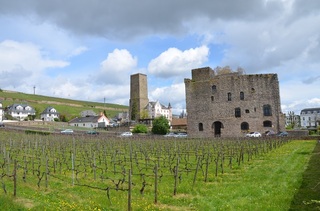 StGoar-Rüdesheim 204.JPG