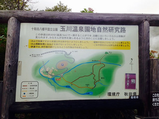 20150924-2.jpg