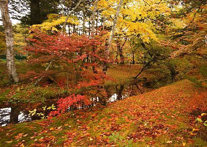 軽井沢の雲場池を行く-5