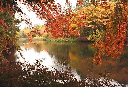 軽井沢の雲場池を行く-7