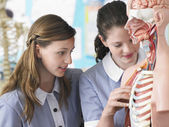 depositphotos_33834603-High-school-students-in-biology.jpg