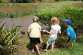 depositphotos_9819487-Young-kids-feeding-ducks-in.jpg