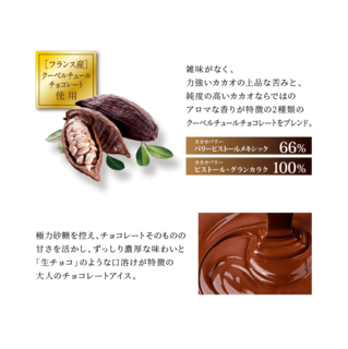 ice_05_chocolat.png