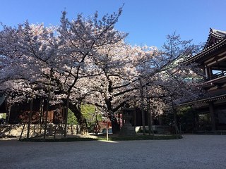 800px-Tocho-ji-Hakata.jpg