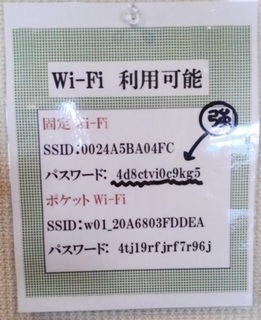 s-13Wi-Fi.jpg