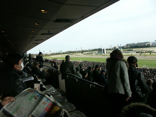 JRA2010 018.jpg