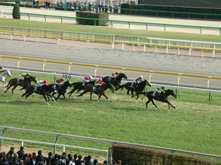 JRA2010 019.jpg