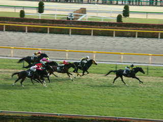 JRA2010 020.jpg