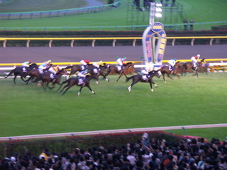 JRA2010 044.jpg