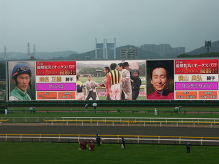 JRA2010 088.jpg