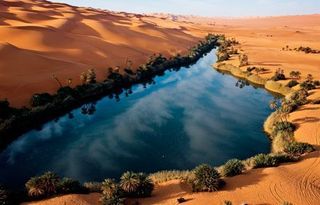 5f10671c758fd82c9f3c5da1f227a9a6--desert-oasis-the-oasis.jpg