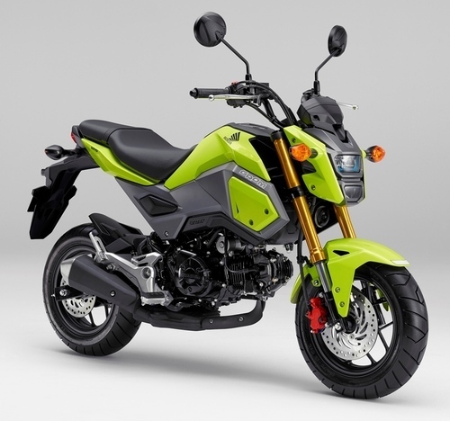 2160603-grom_001H.jpg