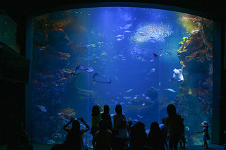 kyoto-aquarium_16.jpg