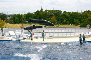 kyoto-aquarium_28.jpg