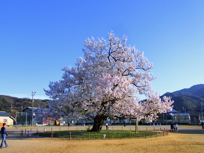 R0033423takefu.JPG