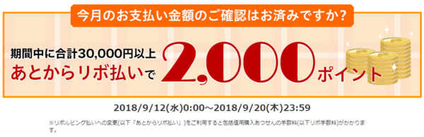 Opera XibvVbg_2018-09-15_135548_www.rakuten-card.co.jp.png