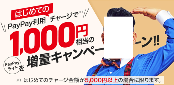 Opera XibvVbg_2019-02-17_152327_paypay.ne.jp.png