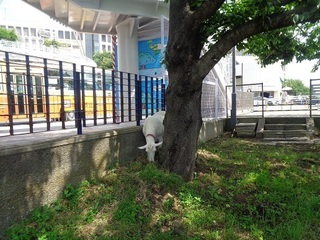 2022.05.30 (8)@.jpg