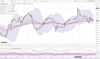 20180608_29-30_EUR-GBP_1h_chart_down.jpg