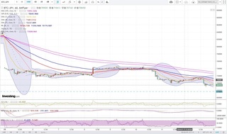 20180713_00-19_BTC-JPY_1h_chart_down.jpg