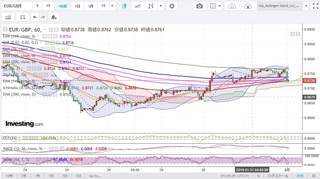 20190131_23-51_EUR-GBP_1h_chart_down.jpg