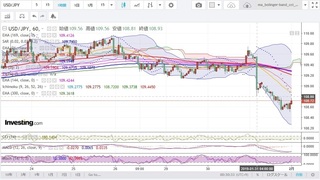 20190131_23-51_USD-JPY_1h_chart_down.jpg