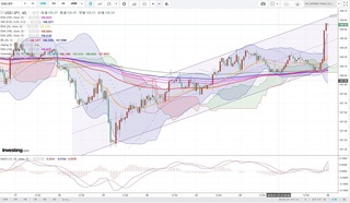 20190725_23-56_USD-JPY_1h_chart_up.jpg