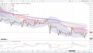 20191005_05_00_GBP-JPY_1h_chart_down.jpg