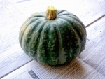 kabocha.png