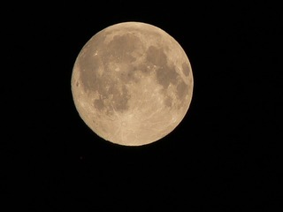 moon-351618_960_720.jpg