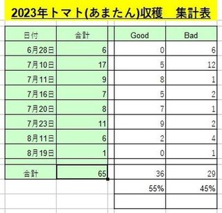 2023年トマト収穫集計表.jpg