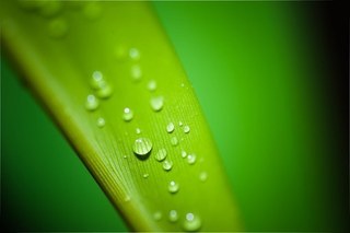 droplets-99.jpg